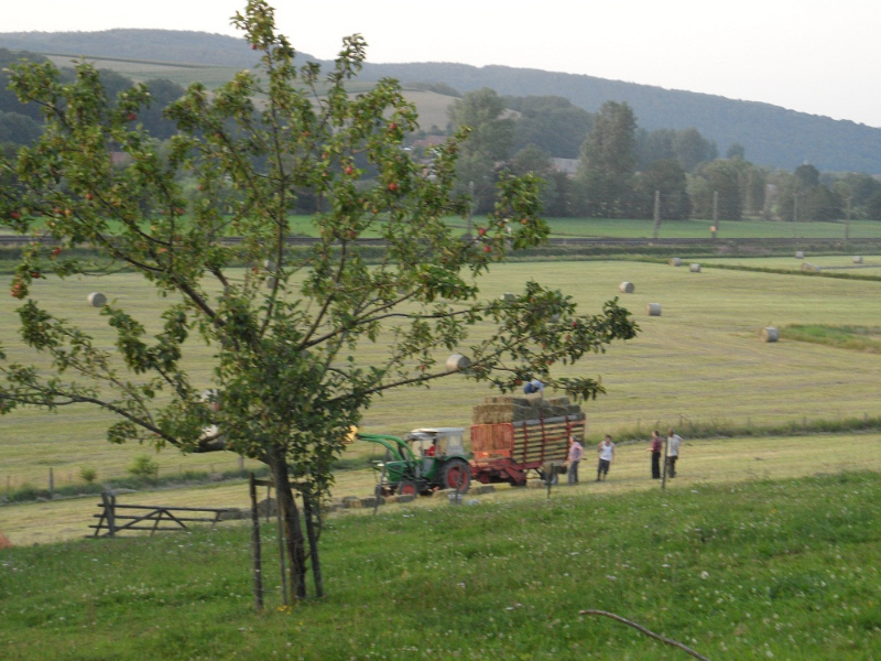 Aussenanlage